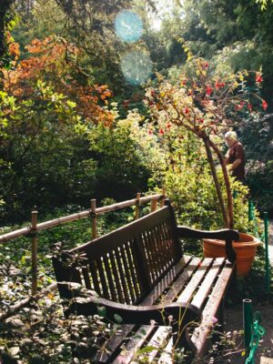 a wooden bench sitting in the middle of a forest